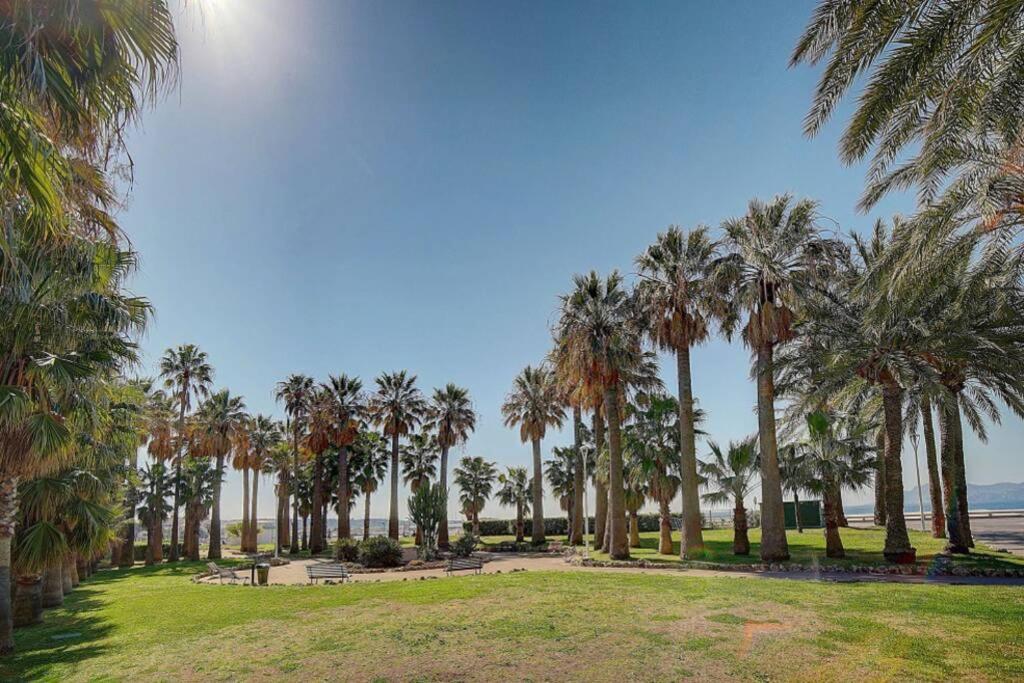 Le Palm - 100M Plage - Croisette - Verriere Cote D'Azur Apartment Cannes Exterior photo